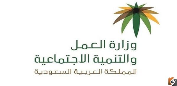 وزارة العمل الخدمات الالكترونية الاستعلام عن موظف وافد