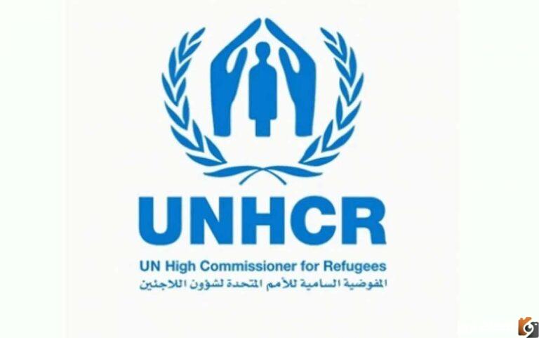رابط إعادة التوطين في تركيا دليلك للحصول على المعلومات المهمة حول العمل والحياة في تركيا