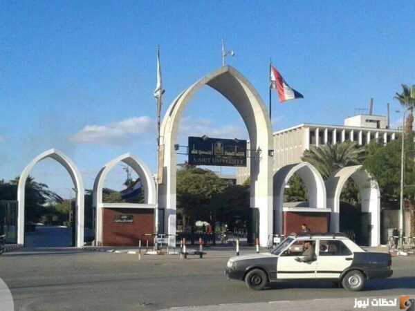 نتيجة جامعة أسيوط 2023 نتائج امتحانات جامعة أسيوط