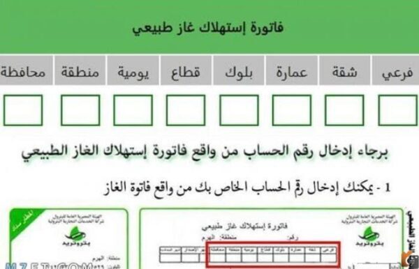 استعلام عن فاتورة الغاز 2023 الاستعلام عن فاتورة الغاز بالرقم القومي 2023