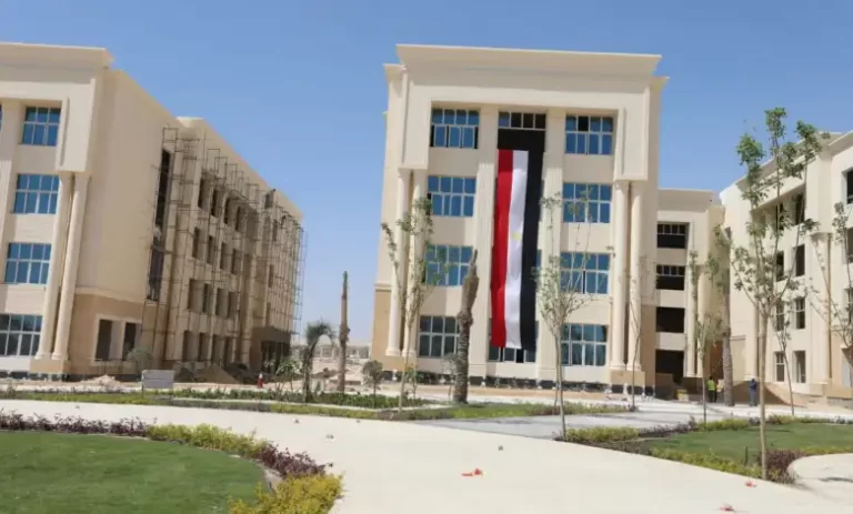 ابن الهيثم جامعة دمياط نتائج الطلاب 2023 نظام ابن الهيثم نتائج الطلاب