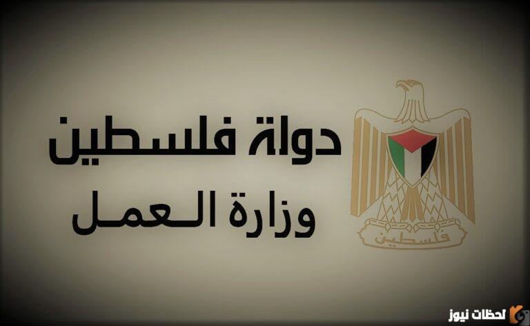 رابط فحص التصاريح بالالوان 2023 وزارة العمل الفلسطينية www.mol.pna.ps فحص تصاريح عن طريق المنسق