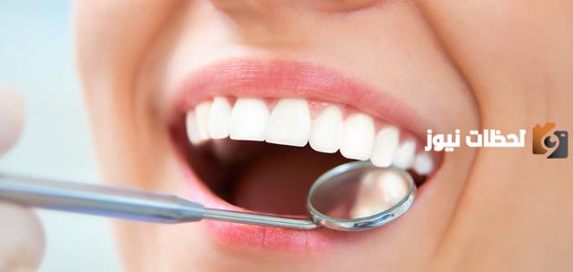 دكتور أحمد العمر