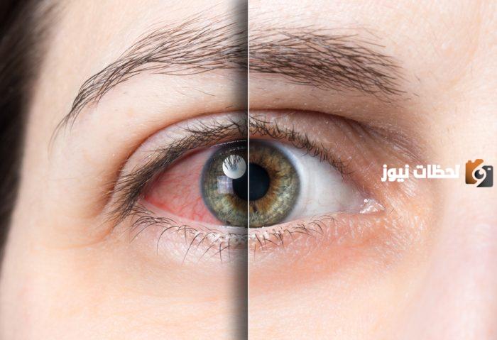 الدكتور غازي داود حمدان