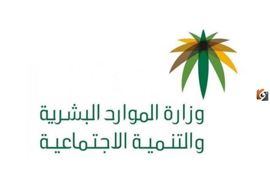 التسجيل في الضمان الاجتماعي الجديد المطور