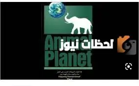 تردد قناة كوكب الحيوانات الجديد