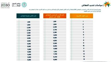 كم قبض شهري الضمان الاجتماعي المطور 1445 وشروط التسجيل في الضمان للحصول على المساندة