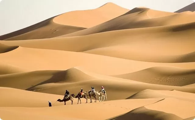 أصل عائلة الخليوي وش يرجعون