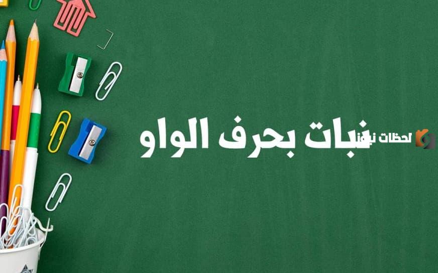 اسم نبات بحرف الواو