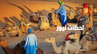 السميري وش يرجع