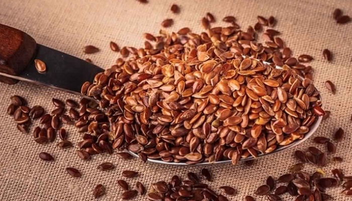 فوائد حب الرشاد للجسم وأضرار تناوله