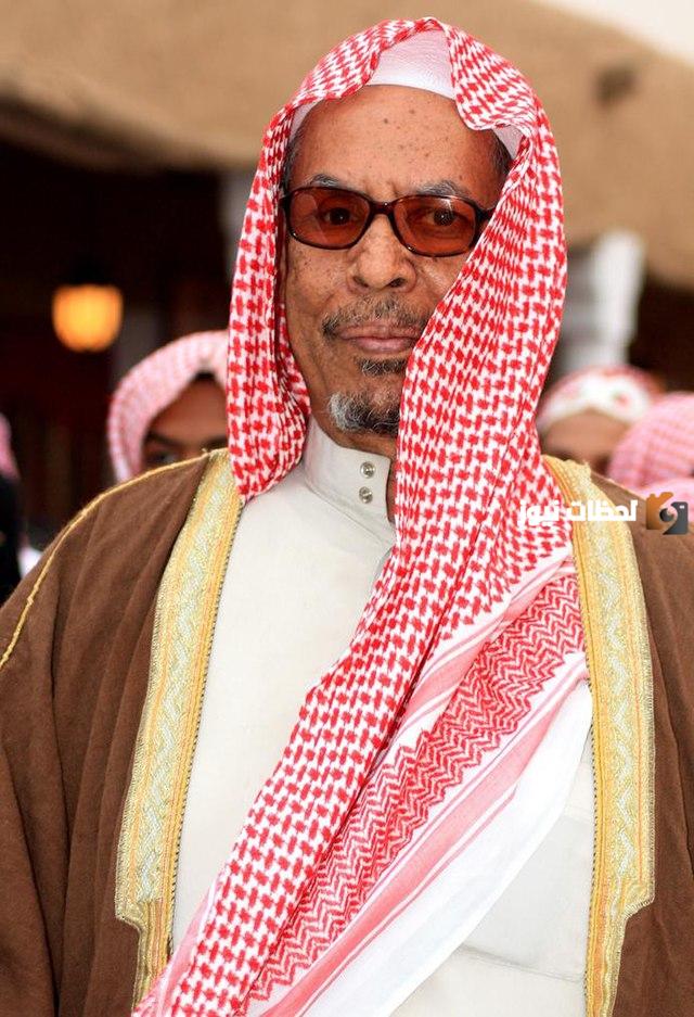 من هو الفنان علي المدفع ويكيبيديا