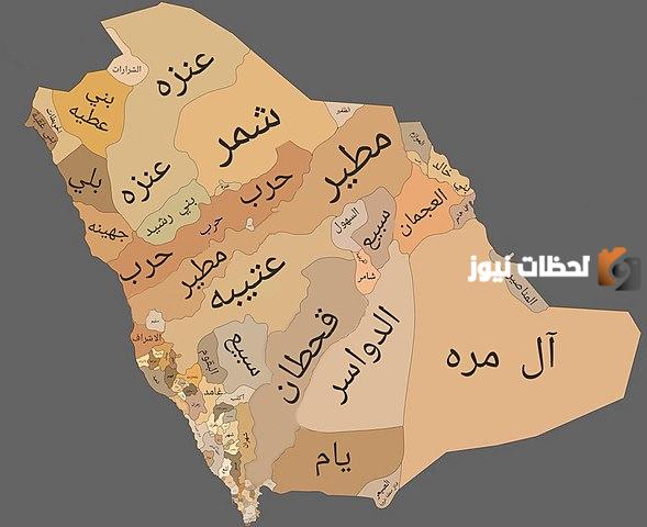 القسم الأول من السبعة البطينات