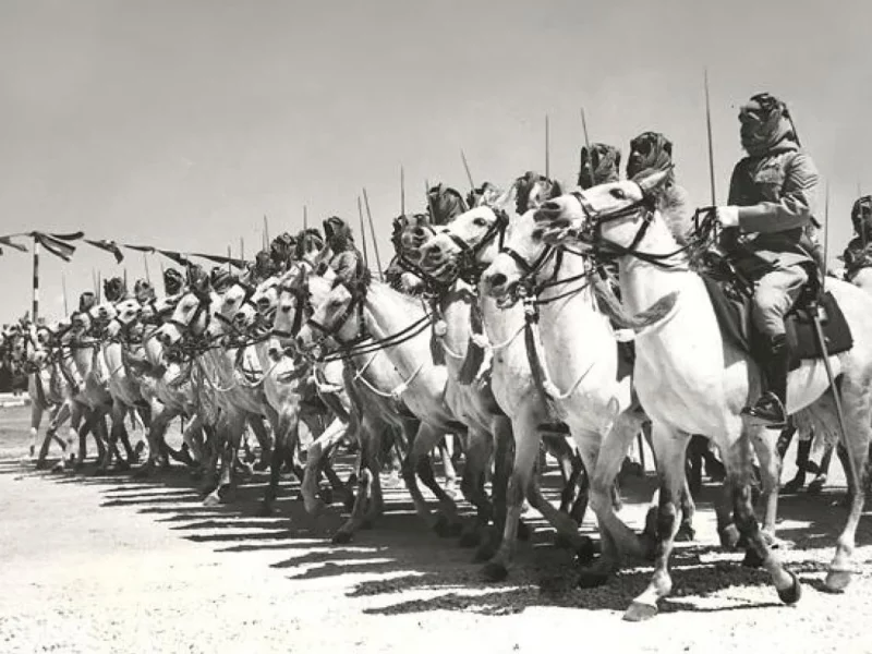 شجرة عائلة العجمي وبطونها