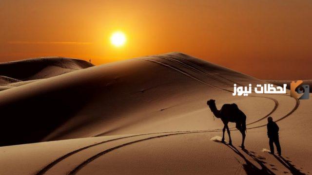 ما هو أصل عائلة القثامى