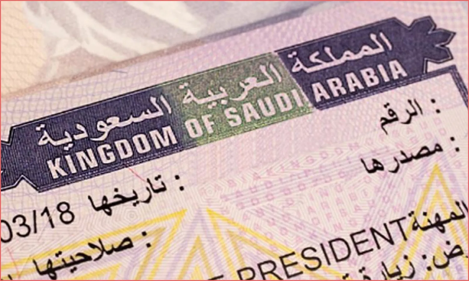 الاستعلام عن الضمان المطور