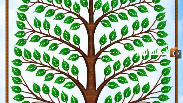 من هم الدواسر البدارين؟