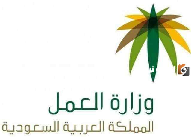 كيف اعرف انه تم نقل كفالتي عن طريق النت