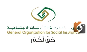 عاجل: المؤسسة العامة للتأمينات الاجتماعية تعلن عن كل التفاصيل الخاصة ببرنامج ساند
