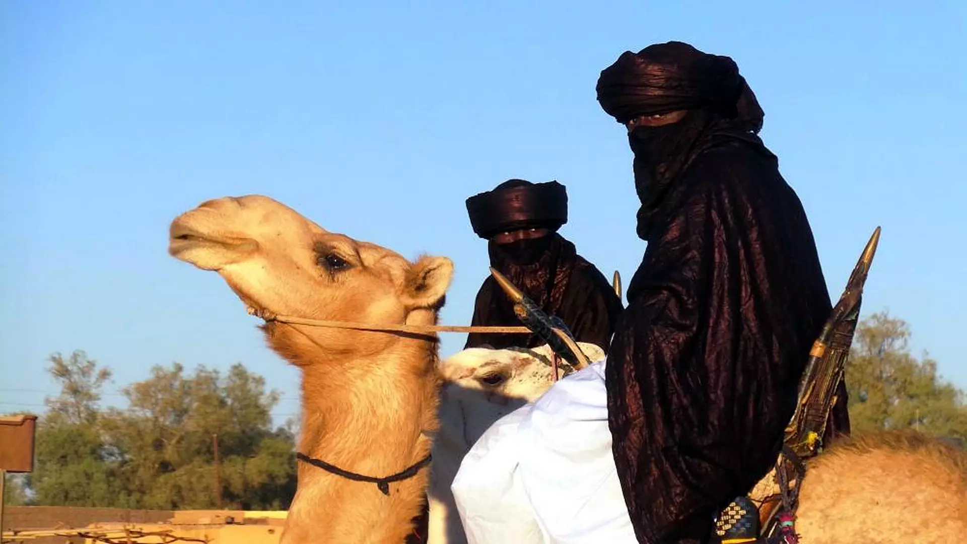 شجرة عائلة الحميدي ونسبها