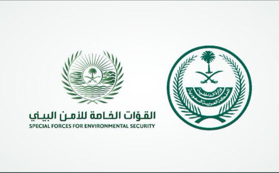 Link وظائف القوات الخاصة