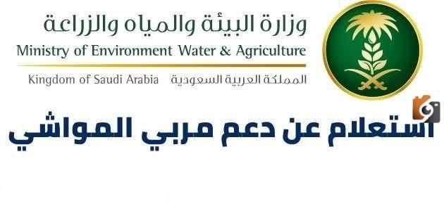 هل الدعم المالي لقطاع المواشي مستمر