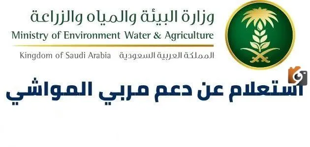 هل الدعم المالي لقطاع المواشي مستمر