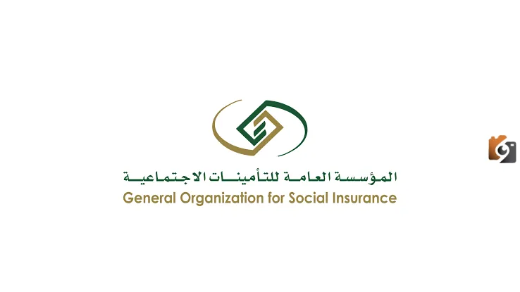 عاجل.. بالخطوات كيفية التسجيل لمنصة تأميناتي