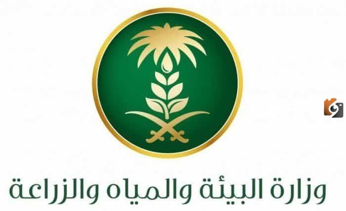 وزارة البيئة والمياه والزراعة تضيف مخالفات جديدة للائحة في المملكة