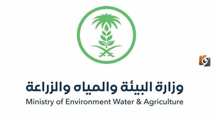 عقوبة جديدة بالسجن والغرامة لمخالفي تنظيم الاحتطاب في المملكة