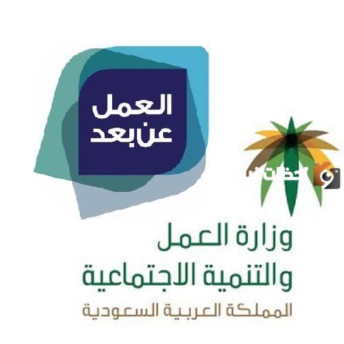 عاجل..وزارة الموارد البشرية تدشن ٣ منصات لإتاحة أكبر فرص عمل للكوادر الوطنية