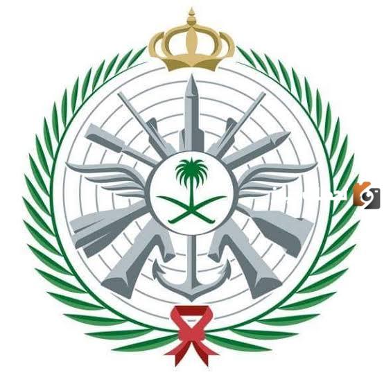 طريقة الاستعلام عن وزارة الدفاع الخاصة بالضباط الجامعيين وطرق التواصل المتاحة ورابط التقديم