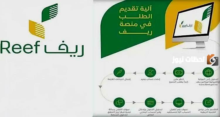 هل دعم ريف يشمل ربات البيوت؟.. وما شروط التسجيل فيه بالنسبة للنساء