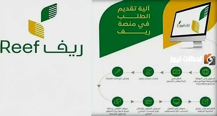 هل دعم ريف يشمل ربات البيوت؟.. وما شروط التسجيل فيه بالنسبة للنساء