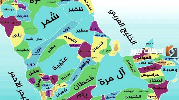 أصل عائلة البركاني وش يرجع