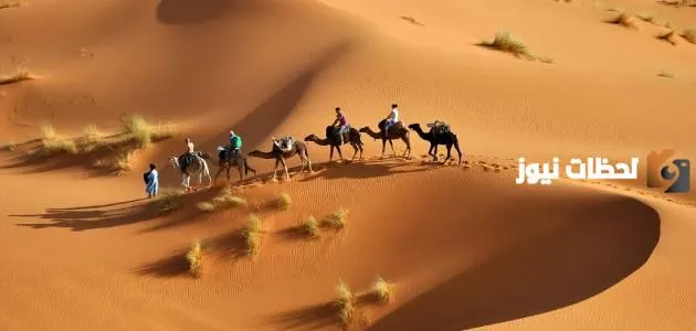 أصل ونسب البشري وش يرجع ؟