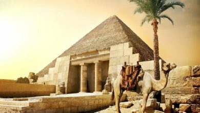 إذاعة مدرسية عن مصر