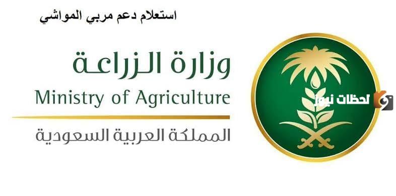 اذا سجلت في دعم المواشي متى ينزل