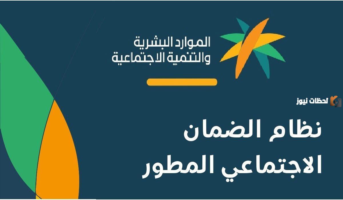 استعلام عن الضمان المطور عن طريق النفاذ الوطني