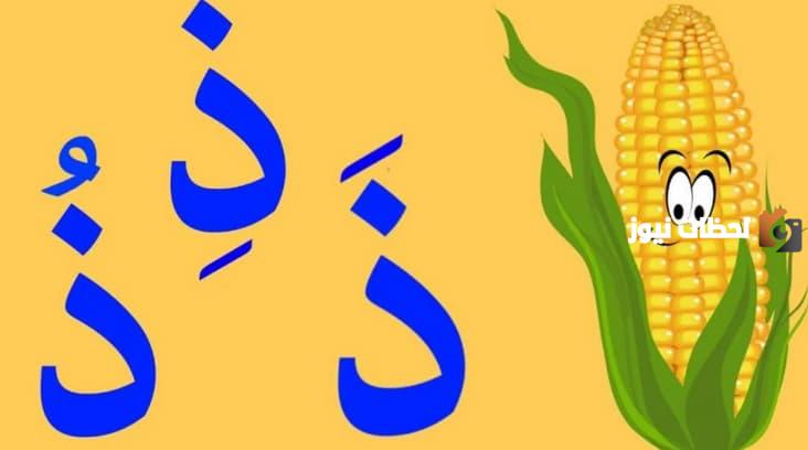 اسم جماد بحرف الذال