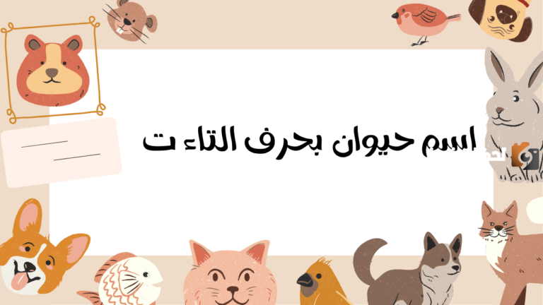 اسم حيوان بحرف التاء