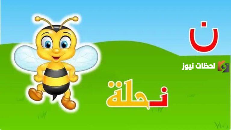 اسم حيوان بحرف النون