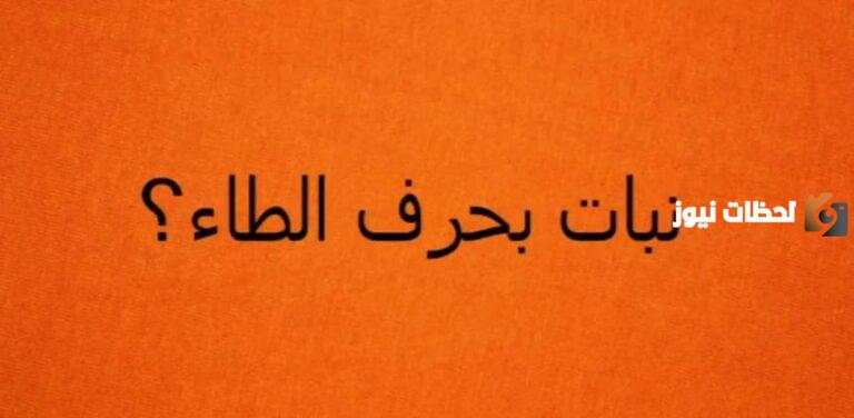 اسم نبات بحرف الطاء