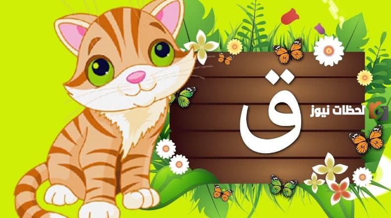 اسم نبات بحرف القاف