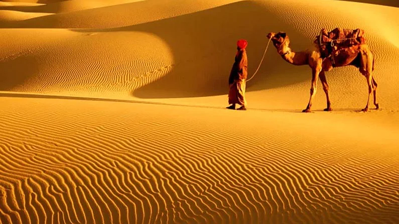 الحسيني وش يرجع
