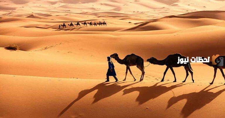 الحسيني وش يرجعون وما أصل عائلة الحسيني
