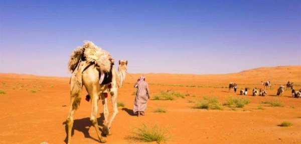 الخوالد وش يرجعون