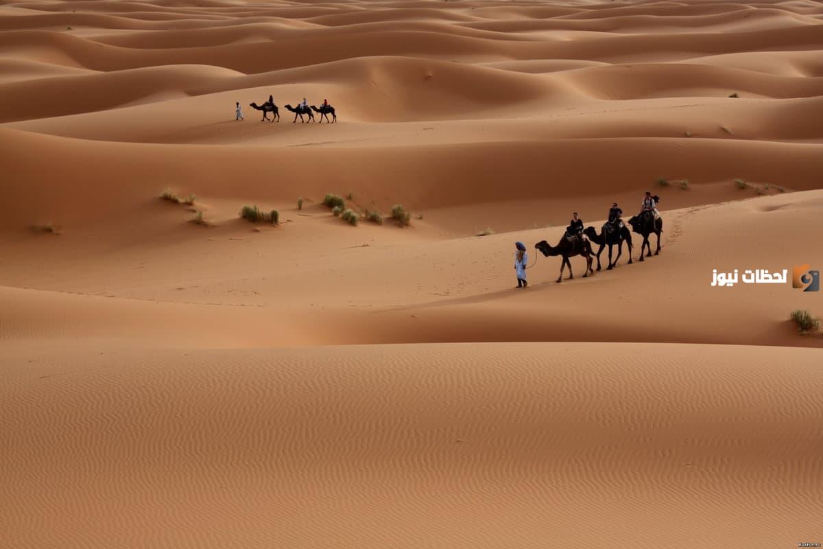 الزبيدي وش يرجع