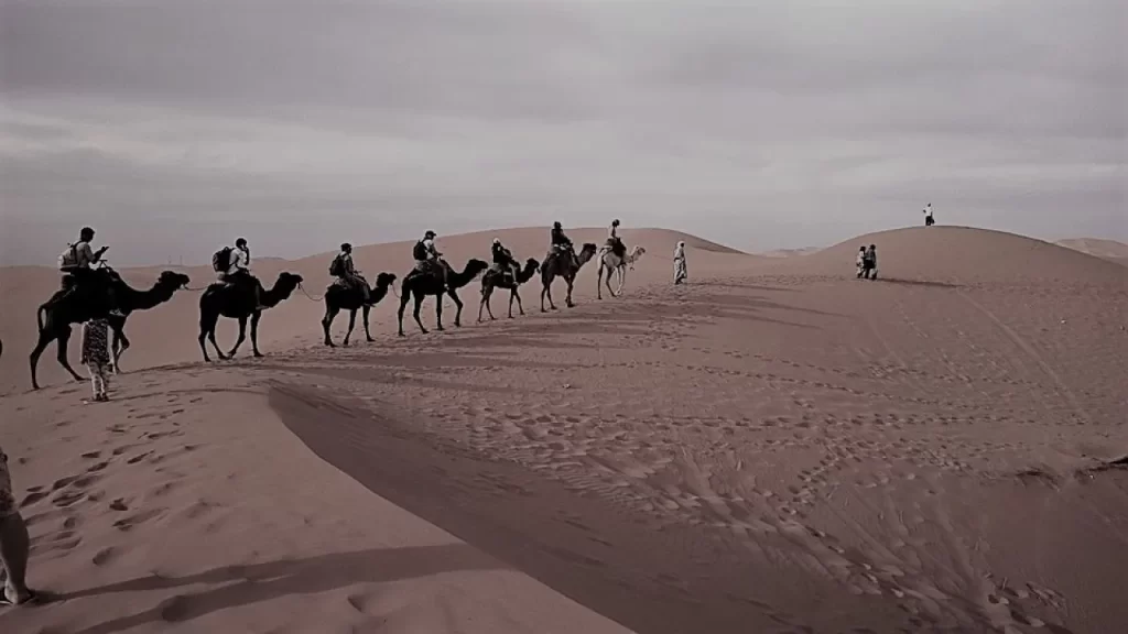 الصبحان وش يرجع