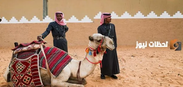 الفرق بين القبيلة والعشيرة والشعب
